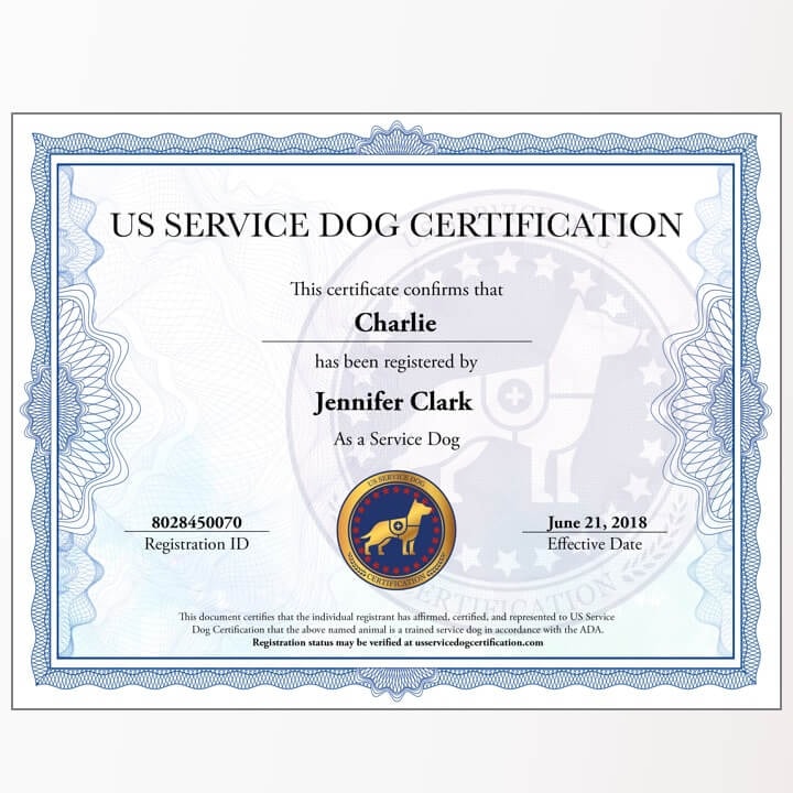 Registration Certificate